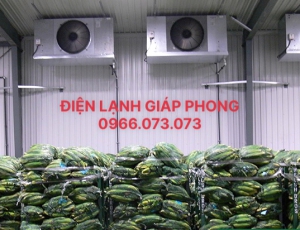 Lắp đặt kho lạnh
