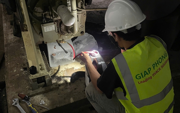 Công Ty Đường Việt Nam