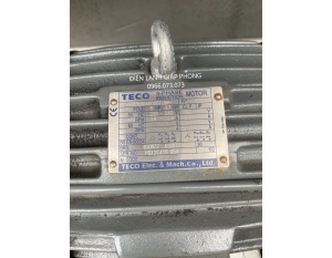 Motor điện 3 pha TRANE - TECO 5HP 3.7kW