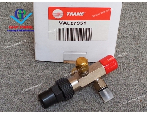 Van 3 ngã chuyển đổi áp suất Trane VAL07951